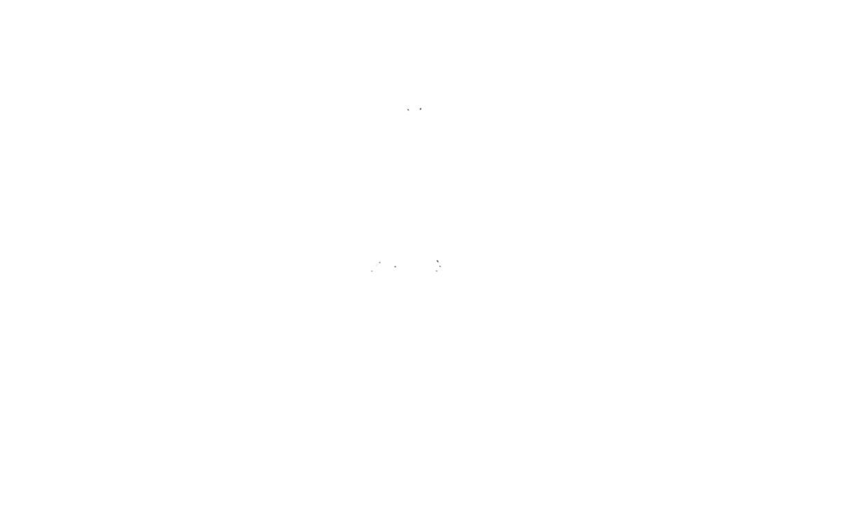 Mariposa blanco